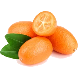 kumquat