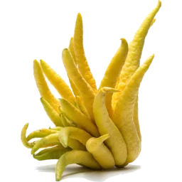 Buddhas Hand