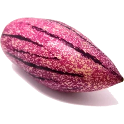 pepino melon