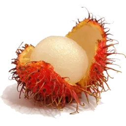 rambutan