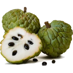 sugar-apple