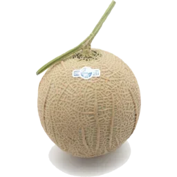 Japanese Crown melon