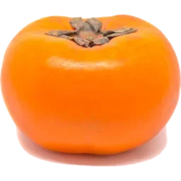 Japanese Fuyu persimmon