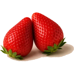 Kotoka strawberries from Nara Prefecture, Japan