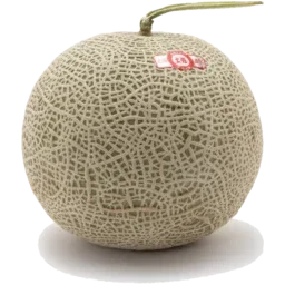 Japanese Muskmelon