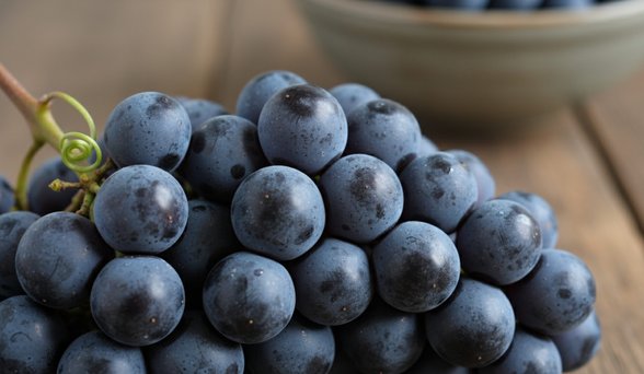 Pione grapes