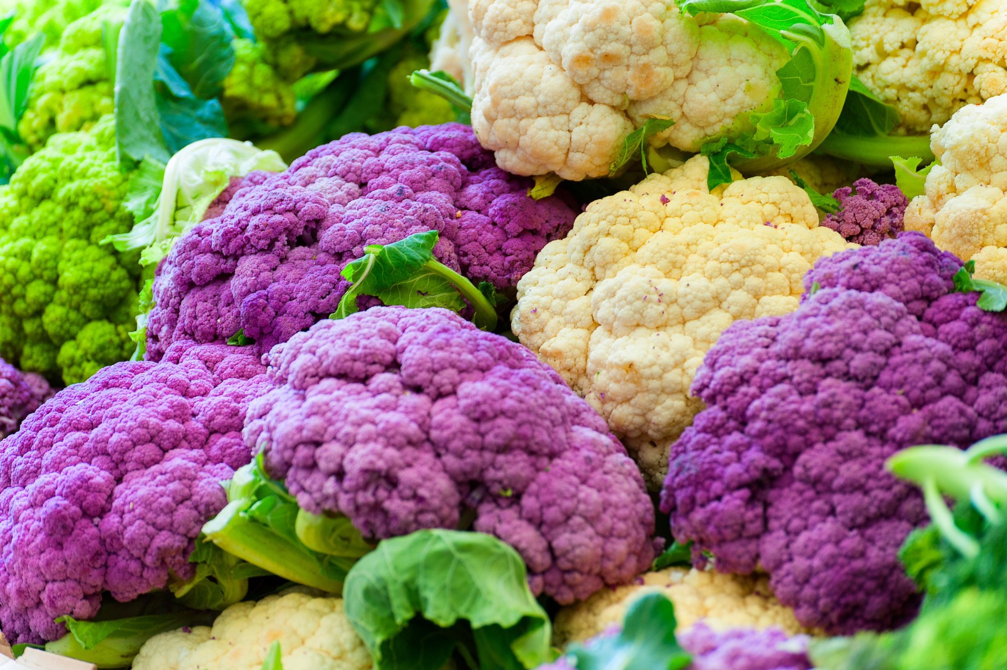 organic-produce
